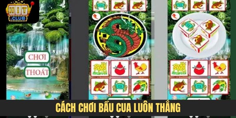 cách chơi bầu cua luôn thắng