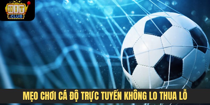 Mẹo chơi cá độ trực tuyến không lo thua lỗ
