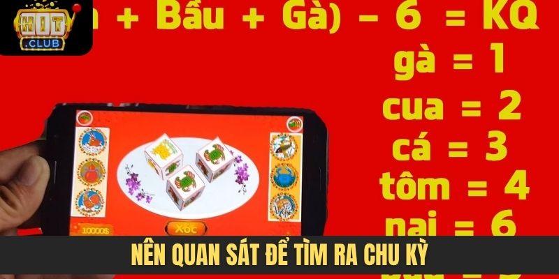 Nên quan sát để tìm ra chu kỳ