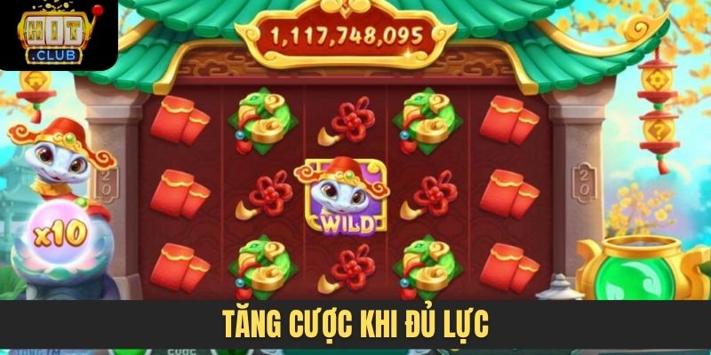 Tăng cược khi đủ lực